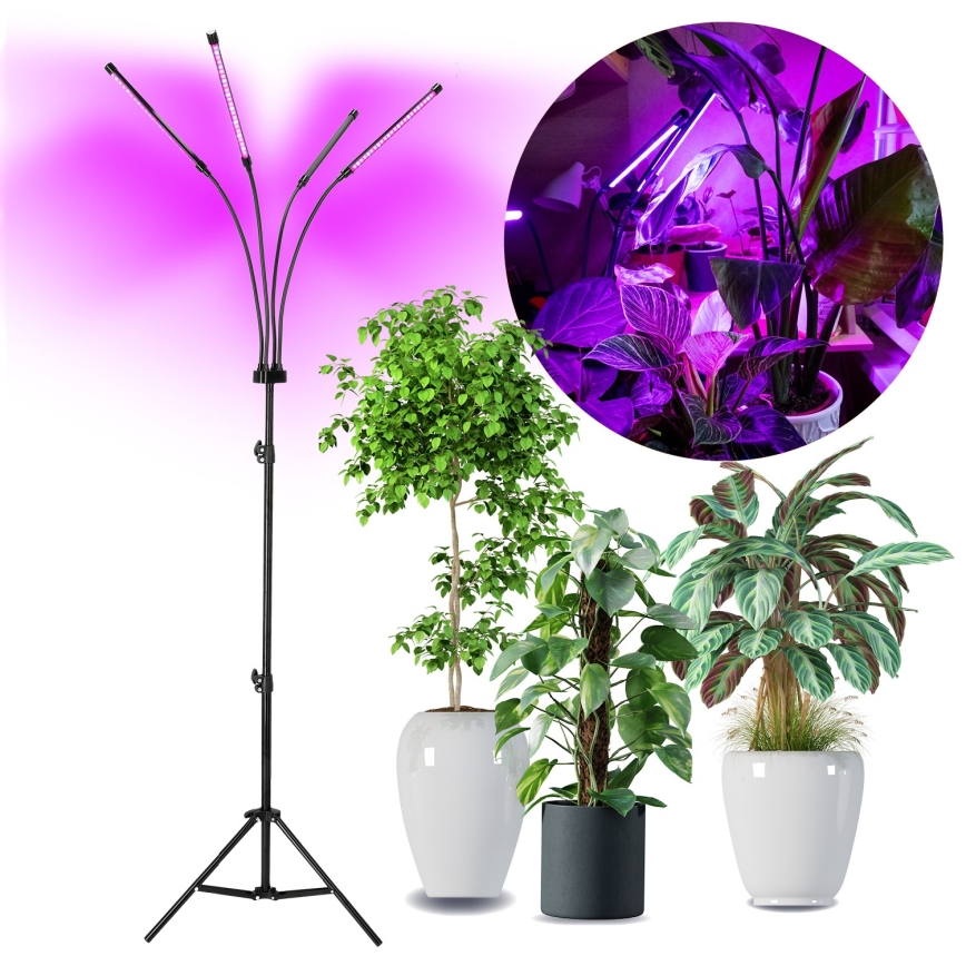 Brilagi - LED Aptumšojama pielāgojama grīdas stāvlampa augu audzēšanai VITABLOOM 4xLED/7,5W/230V melna