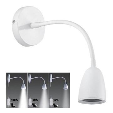 Brilagi - LED Aptumšojama pielāgojama lampiņa LED/4W/230V balta