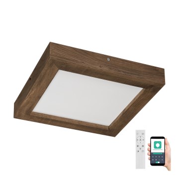 Brilagi - LED Aptumšojama vannas istabas griestu lampa WOODY FRAME LED/24W/230V ozols 30x30 cm 3000-6000K IP44 + tālvadības pults