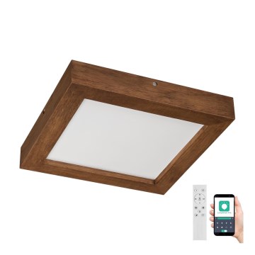 Brilagi - LED Aptumšojama vannas istabas griestu lampa WOODY FRAME LED/24W/230V ozols ķirsis 30x30 cm 3000-6000K IP44 + tālvadības pults