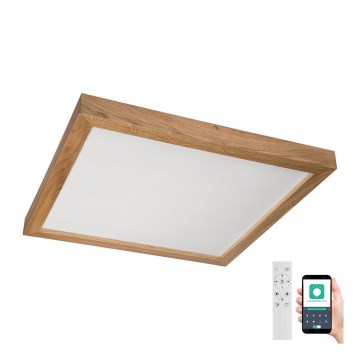 Brilagi - LED Aptumšojama vannas istabas griestu lampa WOODY FRAME LED/50W/230V ozols 60x60 cm 3000-6000K IP44 + tālvadības pults