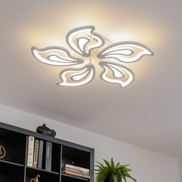 Brilagi - LED Aptumšojama virsapmetuma lustra TWIST LED/125W/230V 3000-6500K + tālvadības pults