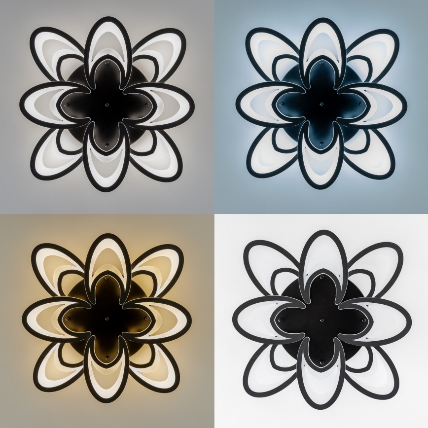 Brilagi - LED Aptumšojama virsapmetuma lustra TWIST LED/125W/230V 3000-6500K + tālvadības pults
