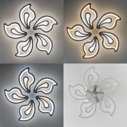 Brilagi - LED Aptumšojama virsapmetuma lustra TWIST LED/125W/230V 3000-6500K + tālvadības pults