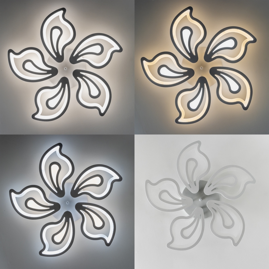 Brilagi - LED Aptumšojama virsapmetuma lustra TWIST LED/125W/230V 3000-6500K + tālvadības pults