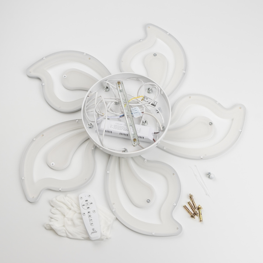 Brilagi - LED Aptumšojama virsapmetuma lustra TWIST LED/125W/230V 3000-6500K + tālvadības pults