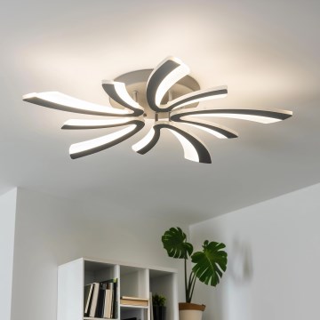 Brilagi - LED Aptumšojama virsapmetuma lustra TWIST LED/55W/230V 3000-6500K antracīta + tālvadības pults