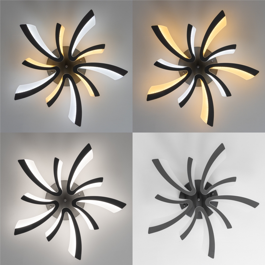 Brilagi - LED Aptumšojama virsapmetuma lustra TWIST LED/55W/230V 3000-6500K antracīta + tālvadības pults