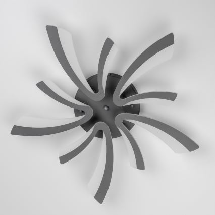 Brilagi - LED Aptumšojama virsapmetuma lustra TWIST LED/55W/230V 3000-6500K antracīta + tālvadības pults