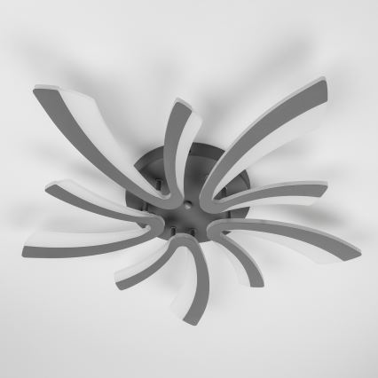 Brilagi - LED Aptumšojama virsapmetuma lustra TWIST LED/55W/230V 3000-6500K antracīta + tālvadības pults