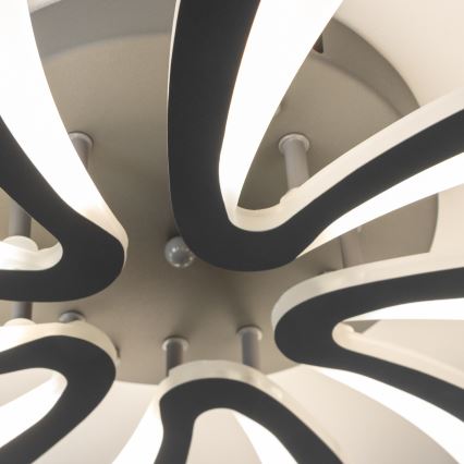 Brilagi - LED Aptumšojama virsapmetuma lustra TWIST LED/55W/230V 3000-6500K antracīta + tālvadības pults