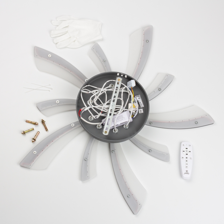 Brilagi - LED Aptumšojama virsapmetuma lustra TWIST LED/55W/230V 3000-6500K antracīta + tālvadības pults