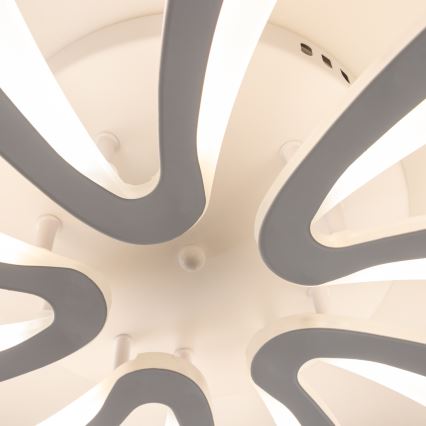Brilagi - LED Aptumšojama virsapmetuma lustra TWIST LED/55W/230V 3000-6500K balta + tālvadības pults