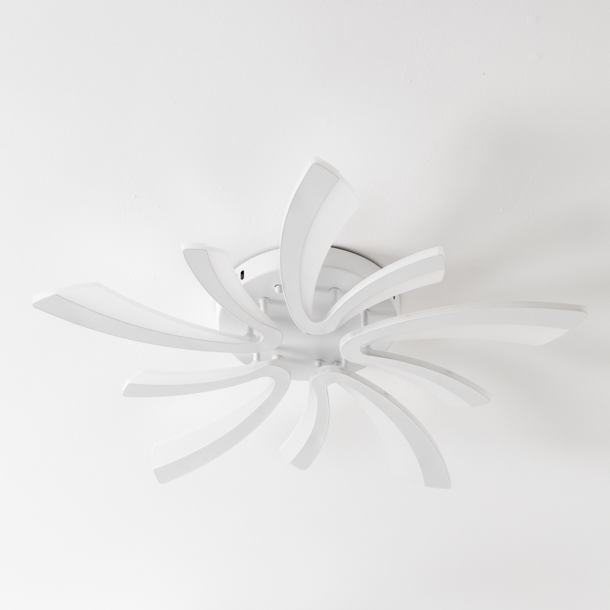 Brilagi - LED Aptumšojama virsapmetuma lustra TWIST LED/55W/230V 3000-6500K balta + tālvadības pults