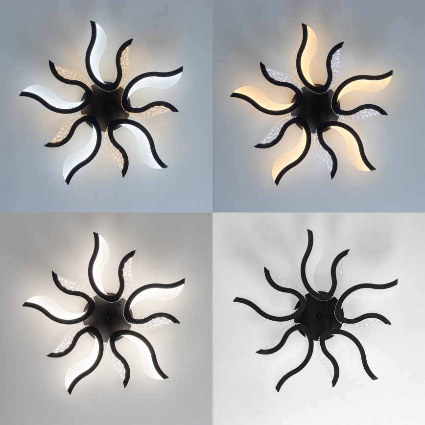 Brilagi - LED Aptumšojama virsapmetuma lustra TWIST LED/65W/230V 3000-6500K melna + tālvadības pults