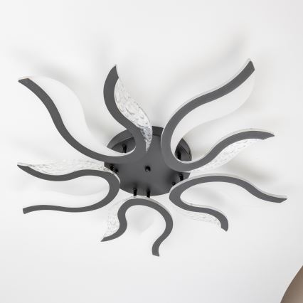Brilagi - LED Aptumšojama virsapmetuma lustra TWIST LED/65W/230V 3000-6500K melna + tālvadības pults