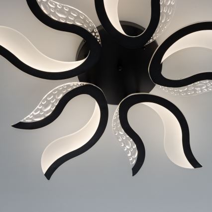 Brilagi - LED Aptumšojama virsapmetuma lustra TWIST LED/65W/230V 3000-6500K melna + tālvadības pults