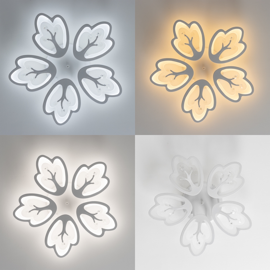 Brilagi - LED Aptumšojama virsapmetuma lustra TWIST LED/80W/230V 3000-6500K balta + tālvadības pults