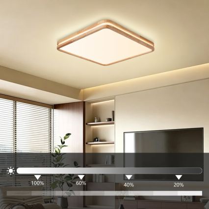 BRILAGI - LED griestu lampa ar regulējamu spilgtumu MOLINA SQUARE LED/80W/230V 3000-6000K ozols 60x60 cm + tālvadības pults