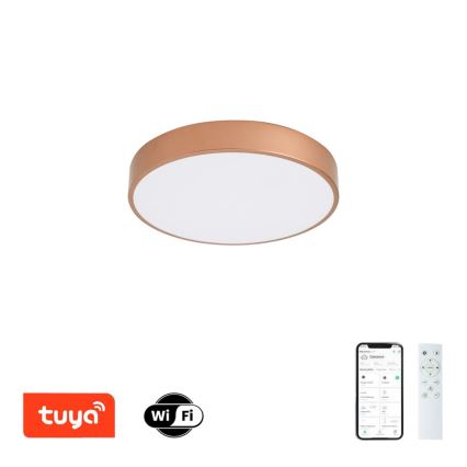 BRILAGI - LED aptumšojams griestu gaismeklis POOL SMART LED/48W/230V 3000-6000K Ø 40 cm Wi-Fi Tuya vara krāsā + tālvadības pults