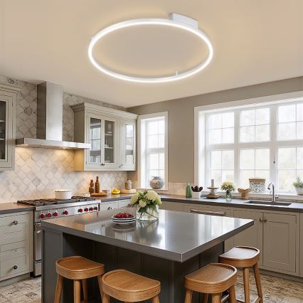 Brilagi - LED regulējamais griestu gaismeklis PORTOFINO LED/60W/230V 3000-6000K Ø 80 cm sudraba + tālvadības pults