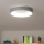 Brilagi - LED aptumšojams griestu gaismeklis FALCON LED/40W/230V 3000-6500K Ø45 cm pelēks + tālvadības pults