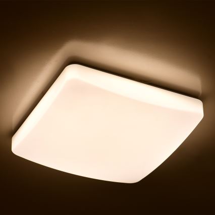 Brilagi - LED Aptumšojams griestu gaismeklis MILKY LED/24W/230V + TP 3000K-6500K