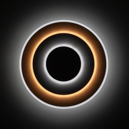 Brilagi - LED griestu lampa ar regulējamu spilgtumu MODERN, 58W, 230V, 3000–6000K, Ø 46,3 cm + tālvadības pults