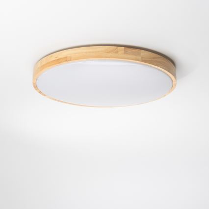 Brilagi - LED Aptumšojams griestu gaismeklis PINE LED/24W/230V 3000-6500K + tālvadības pults