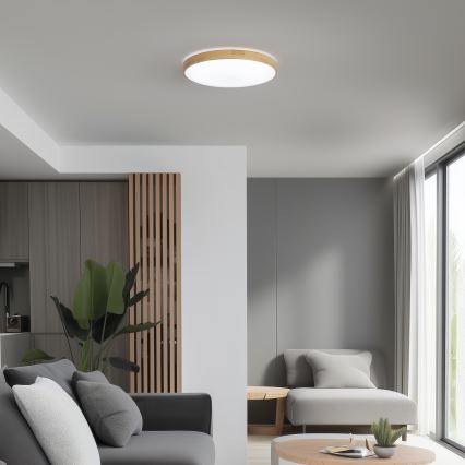Brilagi - LED Aptumšojams griestu gaismeklis PINE LED/24W/230V 3000-6500K + tālvadības pults