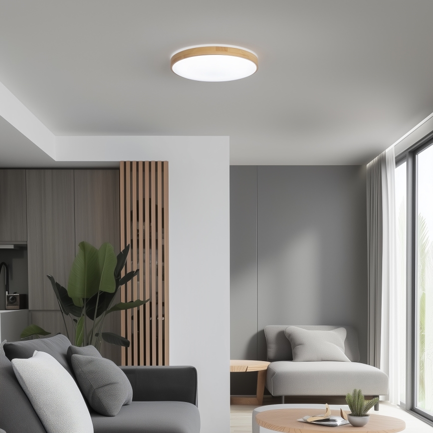 Brilagi - LED Aptumšojams griestu gaismeklis PINE LED/24W/230V 3000-6500K + tālvadības pults