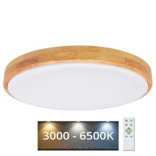 Brilagi - LED Aptumšojams griestu gaismeklis PINE LED/60W/230V 3000-6500K + tālvadības pults