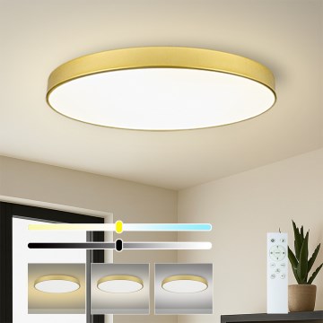 Brilagi - LED aptumšojams griestu gaismeklis POOL SMART LED/128W/230V 3000-6000K 100 cm zelta krāsa Wi-Fi Tuya + tālvadības pults