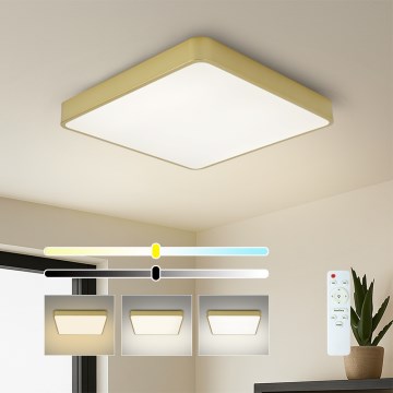 BRILAGI - LED aptumšojams griestu lukturis POOL SQUARE LED/48W/230V 3000-6000K 50x50 cm zelta krāsā + ar tālvadības pulti