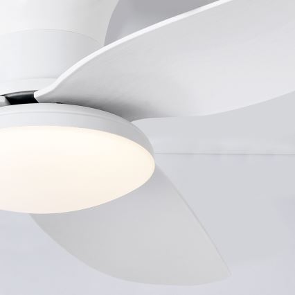 Brilagi - LED Aptumšojams griestu ventilators LED/30W/230V 3000-6500K balta + tālvadības pults