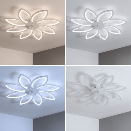 Brilagi - LED regulējams griestu ventilators LED/43W/230V 3000-6500K pr. 90 cm balts + ar tālvadības pulti