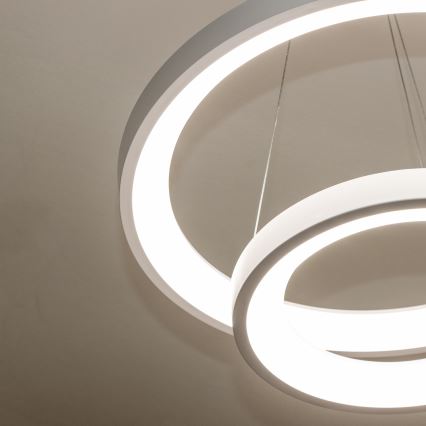 Brilagi - aptumšojams LED lustrs uz troses FALCON SLIM LED/68W/230V 3000-6500K diam. 50 cm balts + tālvadības pults