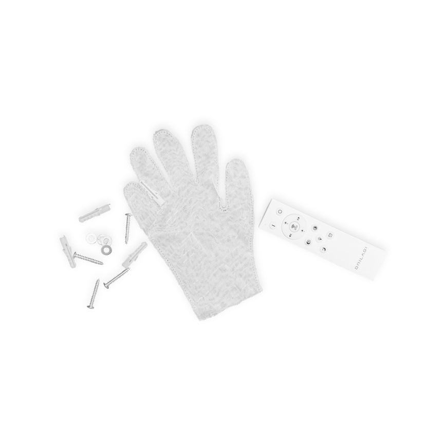 BRILAGI - LED regulējams griestu gaismeklis IRIS LED/98W/230V 3000-6000K 50x50 cm melns + ar tālvadības pulti