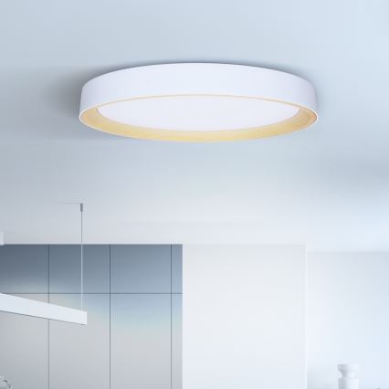 Brilagi - Regulējama LED griestu lampa LARIOS LED/72W/230V balta Ø 59 cm + tālvadības pults