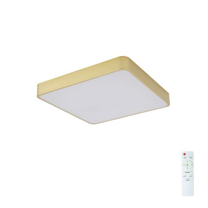 Brilagi - LED aptumšojams griestu lukturis POOL LED/48W/230V 3000-6000K 50x50 cm zelta krāsā + ar tālvadības pulti