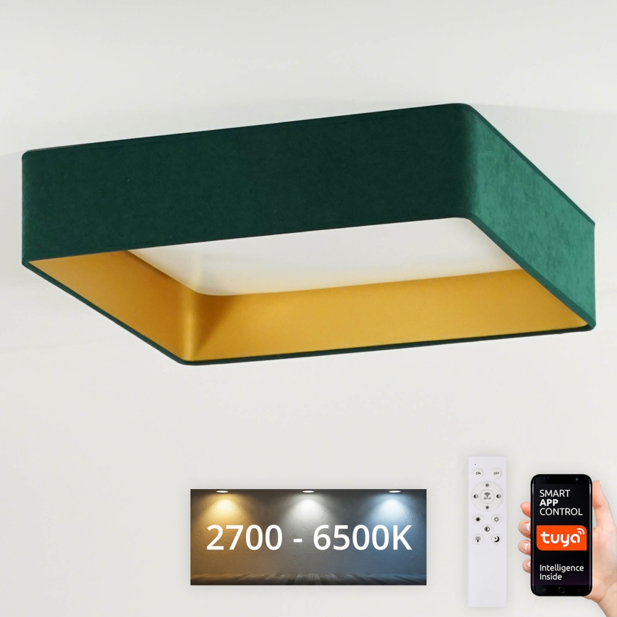 Brilagi - LED ar regulējamu spilgtumu griestu gaismeklis VELVET SQUARE SMART LED/36W/230V 60x60 cm 2700-6500K Wi-Fi Tuya + tālvadības pults zaļš
