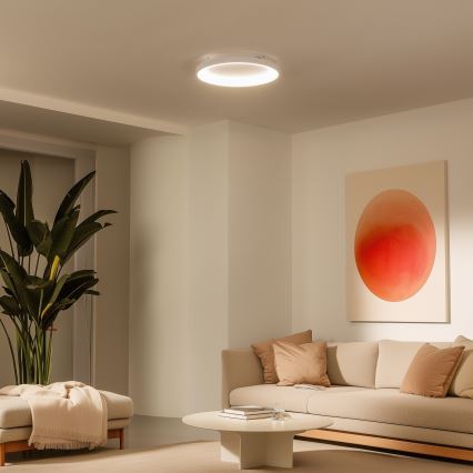 Brilagi - LED aptumšojama griestu lampa FALCON SLIM LED/42W/230V 3000-6500K Ø 50 cm balta + tālvadības pults