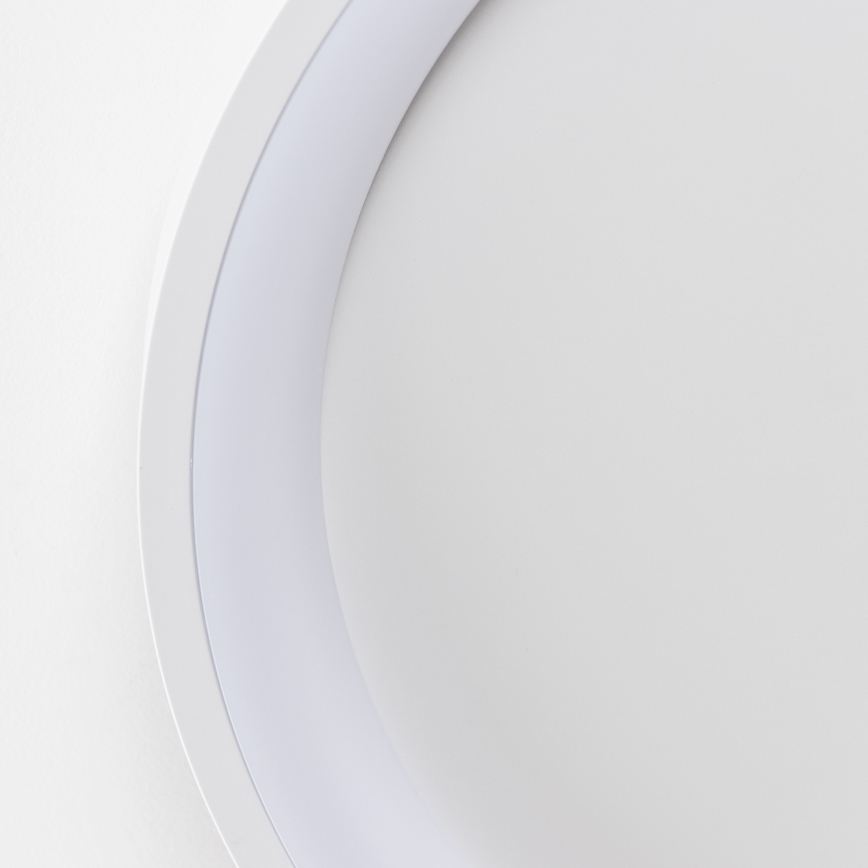 Brilagi - LED aptumšojama griestu lampa FALCON SLIM LED/42W/230V 3000-6500K Ø 50 cm balta + tālvadības pults