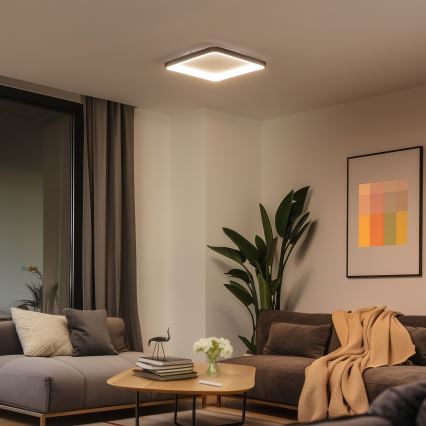 Brilagi - LED griestu gaismeklis FALCON SLIM ar regulējamu spilgtumu LED/50W/230V 3000-6500K 50x50 cm melns + tālvadības pults