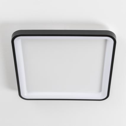 Brilagi - LED griestu gaismeklis FALCON SLIM ar regulējamu spilgtumu LED/50W/230V 3000-6500K 50x50 cm melns + tālvadības pults