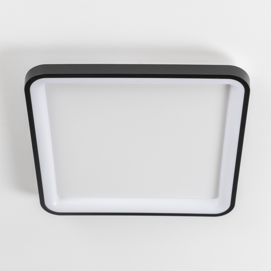 Brilagi - LED griestu gaismeklis FALCON SLIM ar regulējamu spilgtumu LED/50W/230V 3000-6500K 50x50 cm melns + tālvadības pults