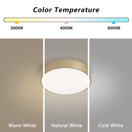 BRILAGI - Regulējamā LED griestu lampa POOL LED/24W/230V 3000-6000K Ø 20 cm zelta + tālvadības pults