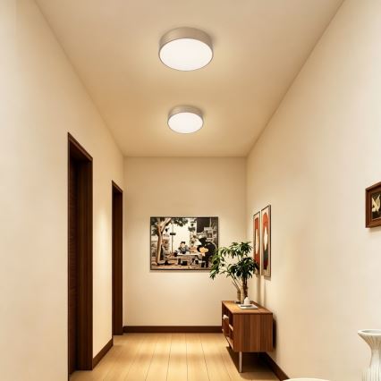 BRILAGI - Regulējamā LED griestu lampa POOL LED/24W/230V 3000-6000K Ø 20 cm zelta + tālvadības pults