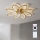 Brilagi - LED ar regulējamu spilgtumu griestu ventilators LED/43W/230V 3000-6500K Ø 90 cm zelta + tālvadības pults