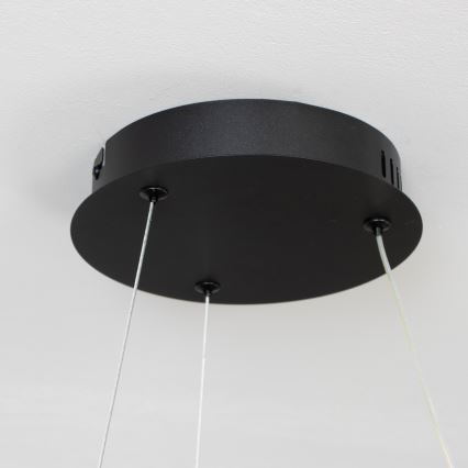 Brilagi - LED lustra ar regulējamu spilgtumu uz vada FALCON II LED/67W/230V 3000–6500K Ø 40 cm melna + tālvadības pults
